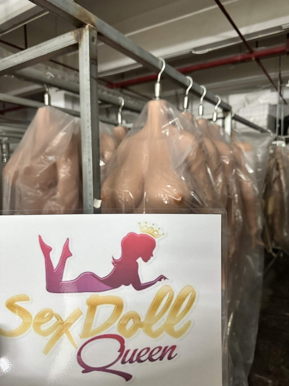 Visite de l'usine