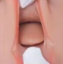 Built-In Tongue (Not to Be Sold Without Sex Doll)