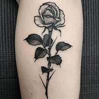 Tattoo Add-On ILDoll (Not to Be Sold Without Sex Doll)