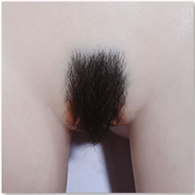 Sigafun Implanted PubIic hair (Not to Be Sold Without Sex Doll)