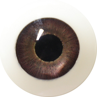 Sanhui Doll Extra Eyes (Not to Be Sold Without Sex Doll)