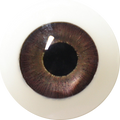 Sanhui Doll Extra Eyes Add-on