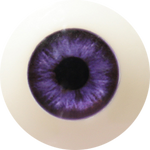 Sanhui Doll Extra Eyes (Not to Be Sold Without Sex Doll)