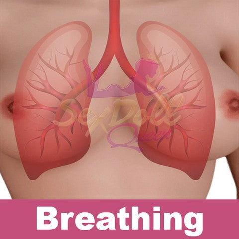 Ridmii |  Breathing (Not to Be Sold Without Sex Doll)