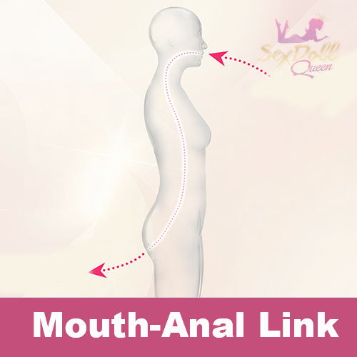 YUE | Mouth-Anal Link Upgrade (Not to Be Sold Without Sex Doll)