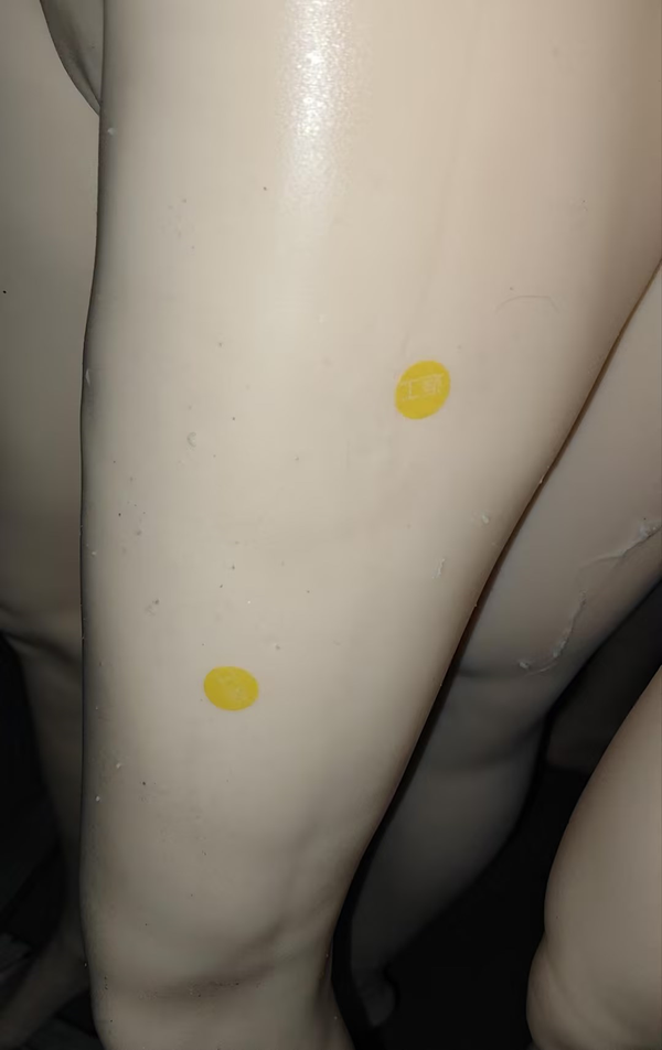 161cm A-Cup Premium Silicone Sex Doll-[Factory Seconds]