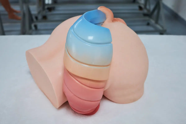 Anime-Style Horse Tail Butt Torso-PA-Ray-CLM Pro Series