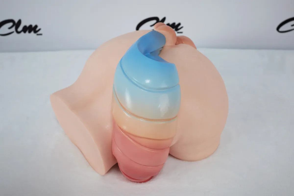 Anime-Style Horse Tail Butt Torso-PA-Ray-CLM Pro Series