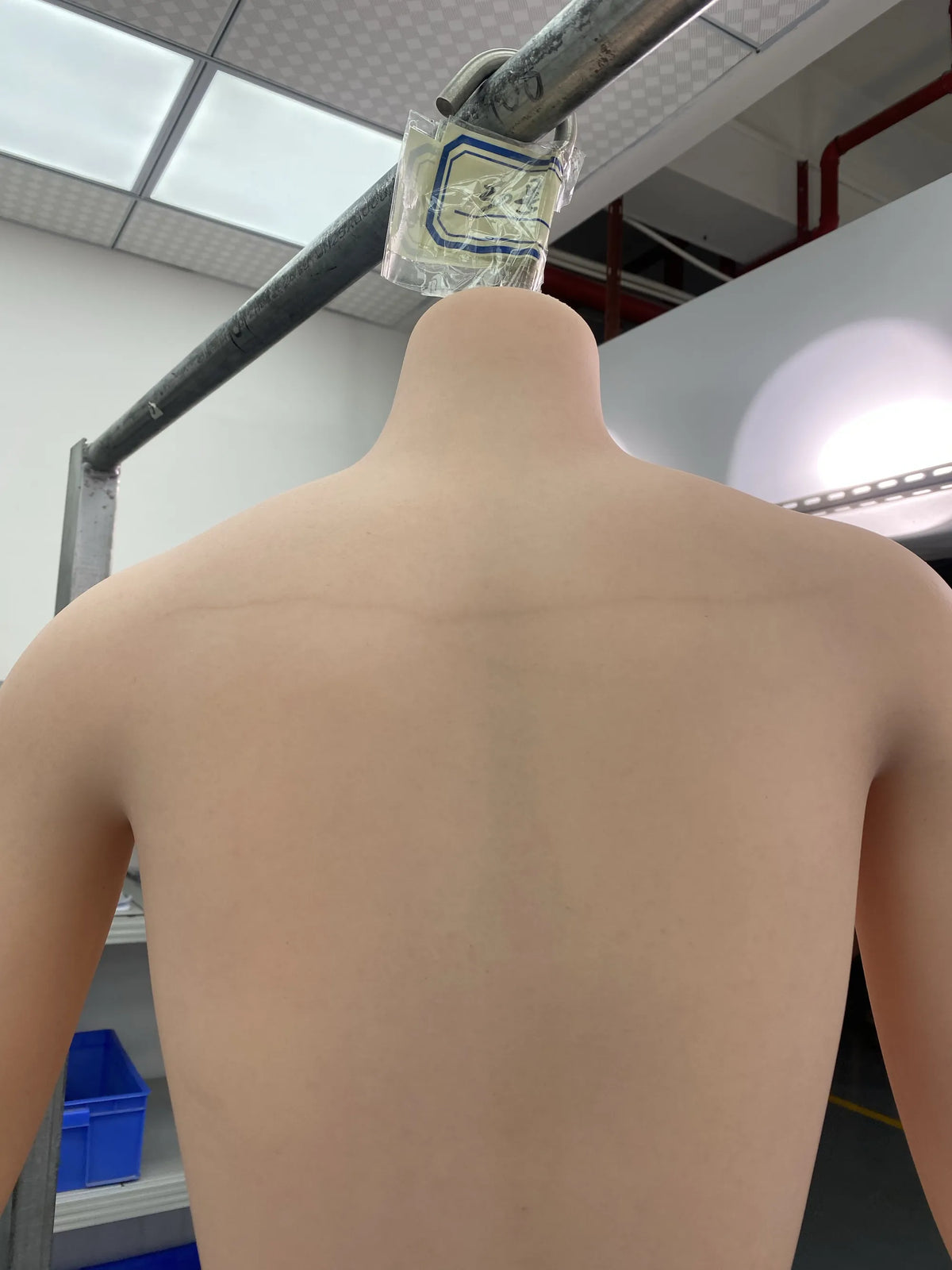 ZXE212_W3: 172cm E-Cup Sex Doll-Zelex SLE 3.0 Series-[USA Stock]-[Factory Seconds]-[Grade C]