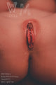 WM Sex Doll Torso J-Cup - Sex Doll Queen